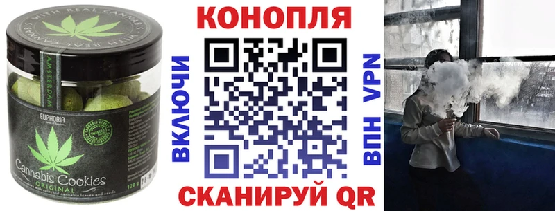 Купить закладки  Верхний Тагил  Canna-Cookies марихуана 