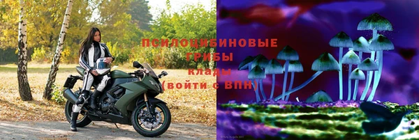 спиды Бородино