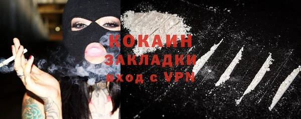 спиды Бородино