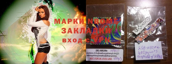 спиды Бородино